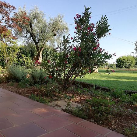Villa Caterina Country Apartment Bedizzole Exterior foto
